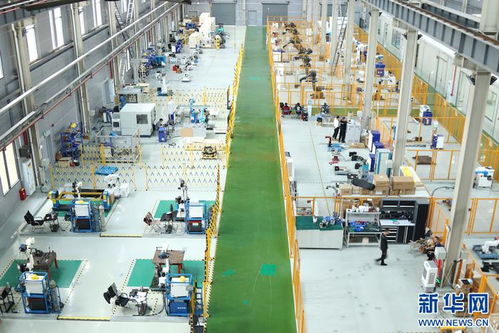 重庆两江新区 国产工业机器人以技术开发为制造业“强筋健骨”